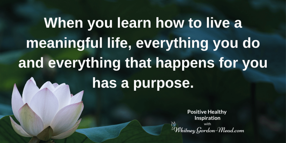 How To Live A Meaningful Life: 5 Tips To Find Your Purpose, Manifest ...